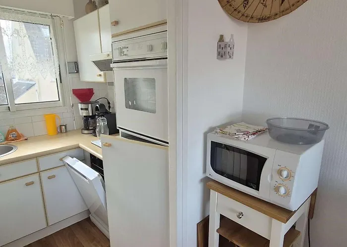 T2 Duplex 4 Pers Avec Balcon Et Parking, Animaux Admis - Fr-1-236-180 Appartamento *